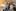 INCOLINK HEALTH SOCIAL MEDIA FILES 254